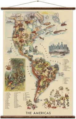 Vintage Card The Americas Wilroda - Erstwhile