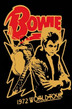 Blue-shaker Poster Bowie World Tour 30 x 40 cm - Blue Shaker