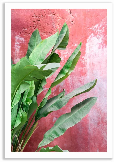 Poster 50x70 Banana Tree On Red Wall - David & David Studios