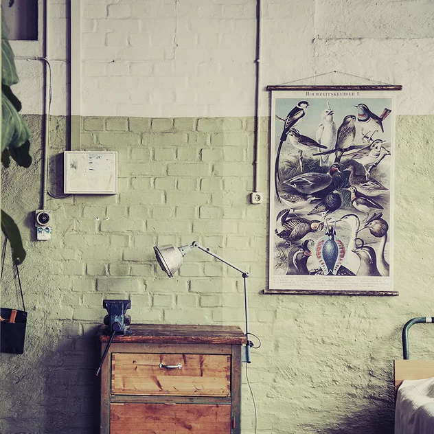 Educational Poster Birds - Erstwhile - Image 2