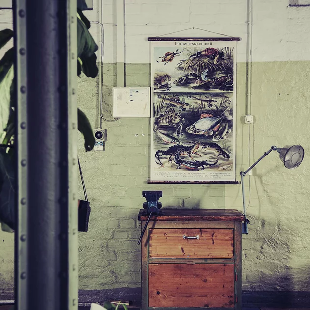 Vintage Fish Card - Erstwhile - Image 2