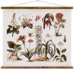 Vintage Card Zimmerpflanzen - Erstwhile