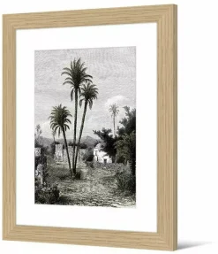 PÔDEVACHE Framed Picture Wittunga 40x50 Cm Botanical Retro - Pôdevache