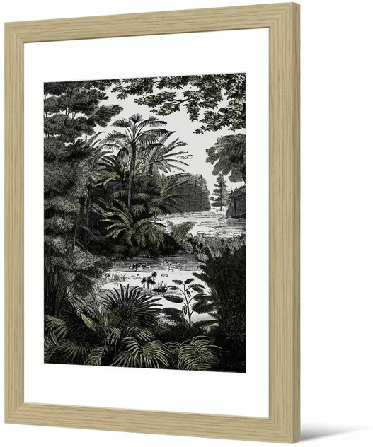 PÔDEVACHE Framed Picture Darwin 50x70 Cm Botanical Retro - Pôdevache