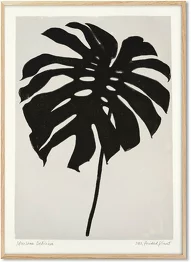 Eupatorium Rugosum Poster 70 x 100 cm PrintedPlant - PSTR Studio - Image 4