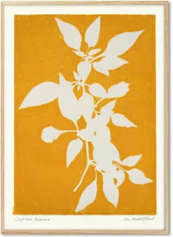 Capsicum Annuum II Poster 30 x 40 cm PrintedPlant - PSTR Studio