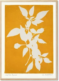 Eupatorium Rugosum Poster 30 x 40 cm PrintedPlant - PSTR Studio - Image 4