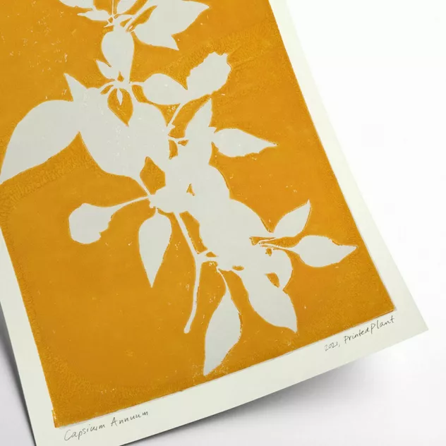 Capsicum Annuum II Poster 30 x 40 cm PrintedPlant - PSTR Studio - Image 2