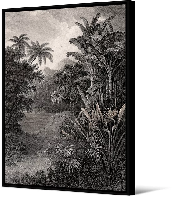 PÔDEVACHE Framed Canvas 65 x 92,5 cm Yucatan - Pôdevache