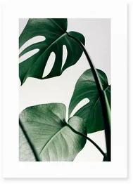 Kaia Poster - Kulile - Image 7