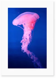 Poster Medusa I Framed Moebe Oak A3 - Le Renard - Image 3