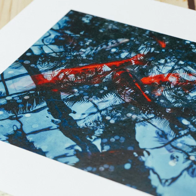 Poster Tropical Fishes - Le Renard - Image 2