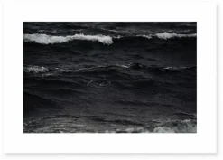 Poster Embrun - Le Renard