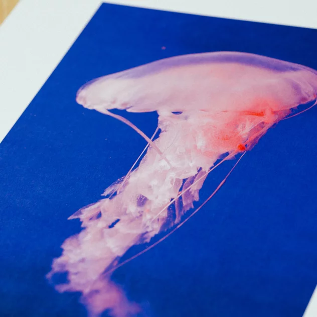 Poster Medusa I Framed Moebe Oak A3 - Le Renard - Image 2