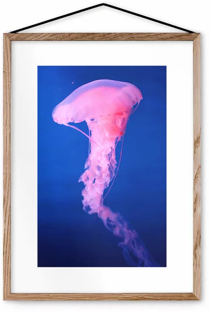 Poster Medusa I Framed Moebe Oak A3 - Le Renard