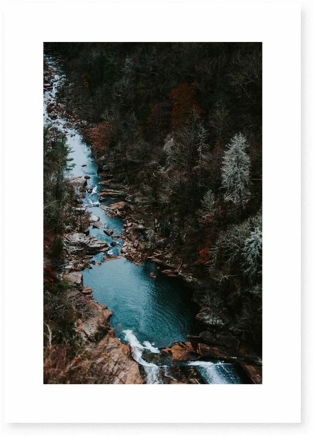 Down The Canyon Poster - Le Renard