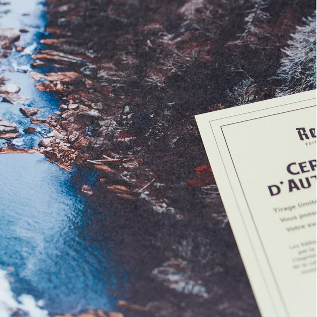 Poster Down The Canyon Framed Moebe Oak A3 - Le Renard - Image 2