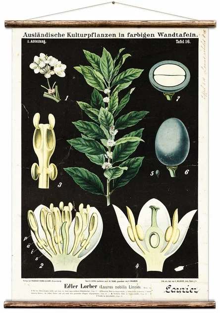 Vintage Lorber Card - Erstwhile