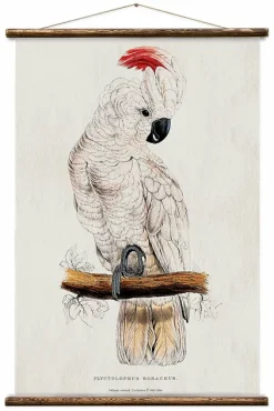 Vintage Cockatoo Card - Erstwhile