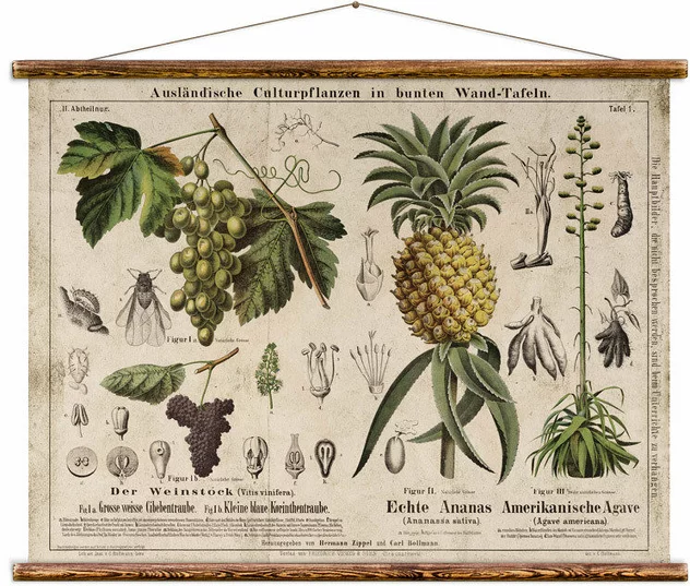 Vintage Wine And Pineapple Card - Erstwhile