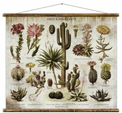 Educational Cactus Poster And Succulent - Erstwhile
