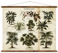 Vintage Card Foliage Plants - Erstwhile