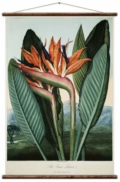 Vintage Card The Queen Flower - Erstwhile