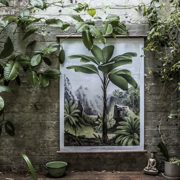 Vintage Wall Chart Flores Des Serres - Erstwhile - Image 2