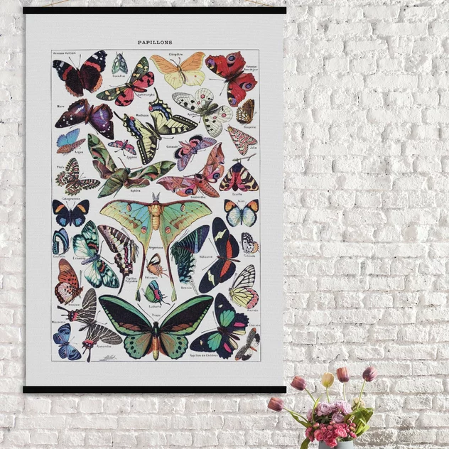 Educational Poster Butterflies - Blue-Shaker - Image 2