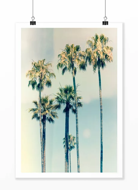 Poster CALIFORNIA - David & David Studio