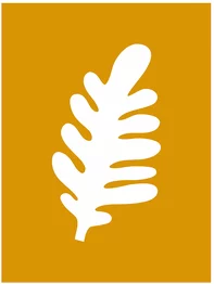 Poster Apollon Terracotta A3 - Shandor - Image 6